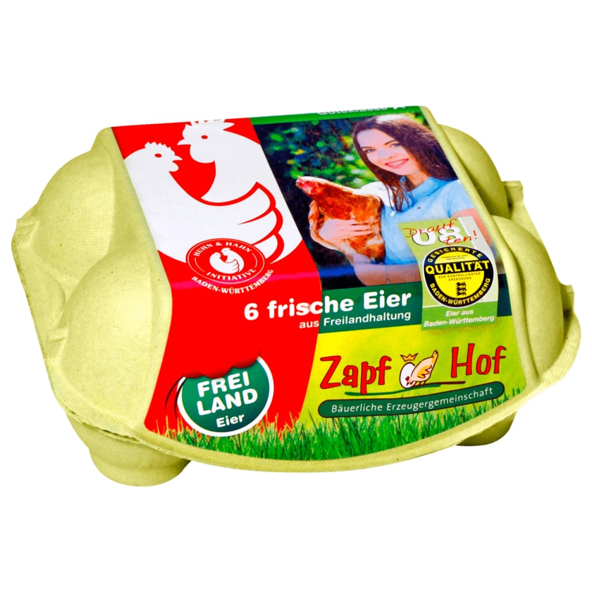 Zapf Hof Eier Freilandhaltung 6 Stück